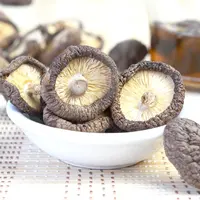 Bulk Edible Magic Mushrooms, Dried Shiitake Mushrooms