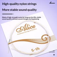 Alice AWR-19T Classical Guitar Strings Set of 6 Full Set Titanium Nylon with Independent Packaging