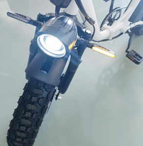 Offre Spéciale 16 pouces cadre en acier à haute teneur en carbone Style 48V 800W batterie au Lithium à grande vitesse frein hydraulique arrière vélo pliant - Product Image 6