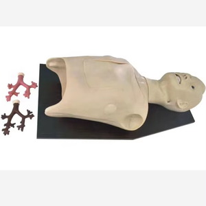 Modelo de Entrenamiento para <span class=keywords><strong>Endoscopia</strong></span> Bronquial - Product Image 6