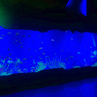 Aquarium en acrylique, Transparent, grand chantier populaire en chine, pour aquarium collection, #