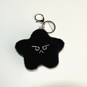 KPOP NT127 peluche porte-clés Haechan Mark <span class=keywords><strong>Doyoung</strong></span> étoile mignon Expression peluche poupée porte-clés sac clé pendentif Jungwoo YUTA cadeaux - Product Image 2