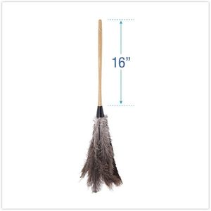 Plumeau professionnel en plumes d'autruche Boardwalk BWK31FD avec manche de 16 pouces pour l'élimination de la poussière - Product Image 3