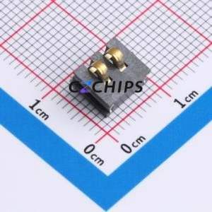 GT-BTP30002-0680B-017A Blade/Spring Contact Battery Connector SMD,P=3mm Connector Spring Contact Type 3mm 2P Horizontal Mount - Product Image 1