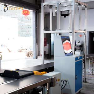 Hệ thống phân loại đai chéo tự động hóa duffy với hệ thống DWS đo kích thước, cân và đọc mã vạch - Product Image 5