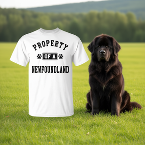 T-shirt Property Of A Newfoundland pour les amoureux des chiens - Product Image 2