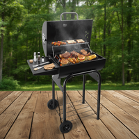 Barbecue moderne en acier inoxydable, pliable, réglable, empilable, double face, avec allumage piézoélectrique, chariot, pour 5+ personnes, extérieur