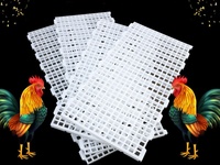 Plancher en plastique PP à lattes emboîtables pour l'élevage de volailles, planche anti-fuite de fumier pour poulets, canards, oies, équipement d'élevage