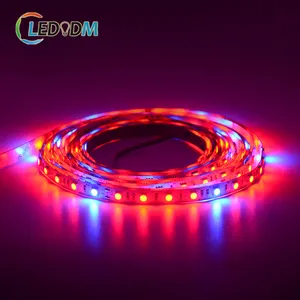 LEDODM 60Led/M 5050 Strip pertumbuhan tanaman Led IP65 tahan air 12V 24V 4:1 5:1 merah dan biru lampu Strip tumbuh spektrum penuh