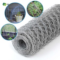 Grillage hexagonal sur mesure à petit maillage, prix usine, pour poulaillers et cages à animaux