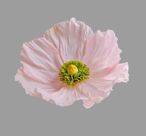 Espositore per vetrine con fiori giganti negozio mostra fiori giganti fiori giganti carta artificiale fiore per decorazione di nozze - Product Image 6