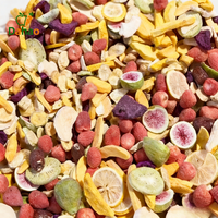 Mélange de fruits lyophilisés en gros sans sucre : fraises, bananes, kiwis, figues, dattes rouges, mangues pour collation