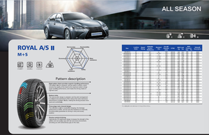 Precio de fábrica barato invierno todas las estaciones neumáticos de <span class=keywords><strong>ruedas</strong></span> de coche de pasajeros 18 pulgadas <span class=keywords><strong>225</strong></span>/45R18 <span class=keywords><strong>225</strong></span>/45ZR18 <span class=keywords><strong>225</strong></span> <span class=keywords><strong>45</strong></span> 18 neumáticos de coche - Product Image 6