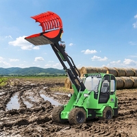 Chargeur frontal télescopique de haute qualité, petit modèle, pour l'agriculture