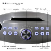 Système de chant KTV portable Sd306plus Owl Design TWS sans fil avec micro et double haut-parleur, carte son intégrée