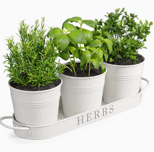 Ensemble de jardinières pour herbes aromatiques d'intérieur avec plateau, pots de fleurs en métal pour rebord de fenêtre avec drainage pour plantes d'extérieur ou d'intérieur - Product Image 3