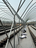Serre en polyfilm détachable ZHUOTAI, petite, avec structure en acier léger, portable pour la culture de fruits et d'herbes dans la cour, Chine