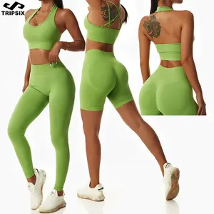 2023 kadınlar popüler yeni tasarım dikişsiz gömlek kısa Legging sutyen spor seti Yoga kıyafeti Set spor seti