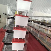 Petite cage à poulets à quatre étages, design vertical intégré, poulailler renforcé, sans alimentation électrique, pour usage agricole