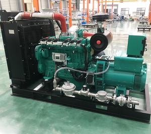 50/100/120/150/200/250/300/400/500kVA 바이오 가스/천연 가스 발생기/LPG/ LNG/CNG 발생기 - Product Image 4