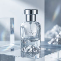 Huile de parfum Atar arabe pour hommes 5 ml 10 ml 15 ml 30ml 40 ml 85ml Mini bouteille de parfum argentée pastel en verre rond givré