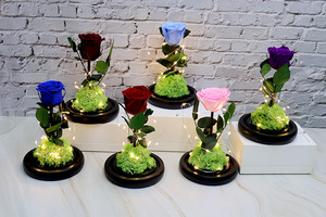 Rose unique préservée sous cloche en verre avec lumières LED - Alimentée par piles, base en <span class=keywords><strong>mousse</strong></span> - Décoration romantique pour la maison et cadeau - Product Image 5