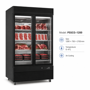 Armoire <span class=keywords><strong>de</strong></span> maturation à porte vitrée, refroidissement par air, sans givre, pour attendrir la viande (bœuf et volaille) - Product Image 4