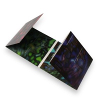 Dompet CD Lipat 8 Panel Berbahan Karton Cetak Warna Penuh Seni Abstrak Untuk Kemasan Album Musik