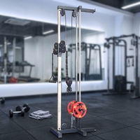 Machine de traction dorsale murale multifonction intégrée pour l'entraînement musculaire des dos, des épaules et des bras – Fitness et musculation