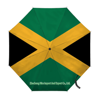 Parapluie pliant avec drapeau du Guatemala, ouverture et fermeture automatiques, parapluie compact, portable, grand format, pour la protection contre la pluie, résistant au vent