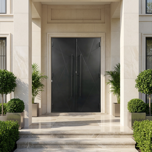 Porte en fer forgé personnalisée en gros des États-Unis Double porte extérieure principale en acier - Product Image 1