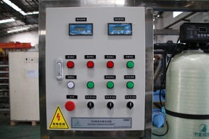 Công nghiệp tự động thẩm thấu ngược 250L/h uống lọc nước <span class=keywords><strong>RO</strong></span> hệ thống xử lý nước tinh khiết Máy lọc - Product Image 3