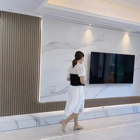 Panneaux Muraux Décoratifs Carrés Noir Or Lames de Plafond WPC Panneaux Muraux Striés Bois PVC WPC Intérieurs avec LED