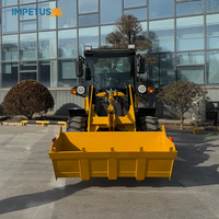 Impetus Front Mini 1 Tonne 1,5 Tonnen 1,8 Tonnen 2 Tonnen 2,5 Tonnen 2,8 Tonnen 3 Tonnen Radlader Kleiner Radlader Cargador