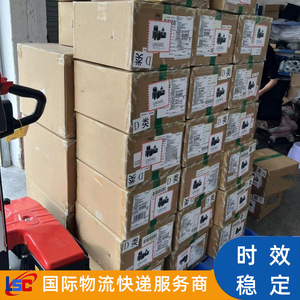 Lianshuncheng Canadá Transporte Marítimo Transfronterizo LCL Envío Exprés Tiempo de Entrega Estable de China a Canadá - Product Image 3