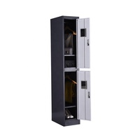 Armoire de casier en métal en acier avec 2 portes pour le stockage commercial de vêtements de gymnase