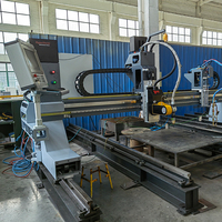 Machine de découpe plasma CNC à portique pour biseautage, servo, coupes multi-angles, haute précision, multi-tensions, garantie 1 an