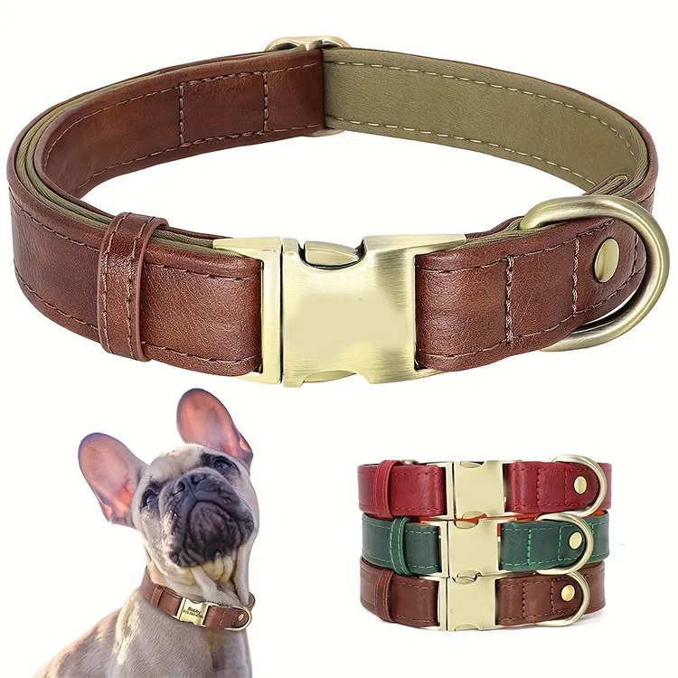 QQgift, collar de perro de cuero suave personalizado de lujo personalizado con hebilla de Metal e Interior acolchado para perros pequeños y medianos