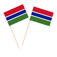 Banderas Pequeñas de Gambia Personalizadas al por Mayor, Mini Banderas Nacionales para Decoración de Eventos, Fiestas y Celebraciones, Bandera para Agitar con la Mano