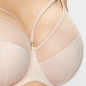 Di alta qualità classico Sexy ricamato in <span class=keywords><strong>Tulle</strong></span> <span class=keywords><strong>trasparente</strong></span> a copertura completa reggiseni taglie forti per le donne - Product Image 6