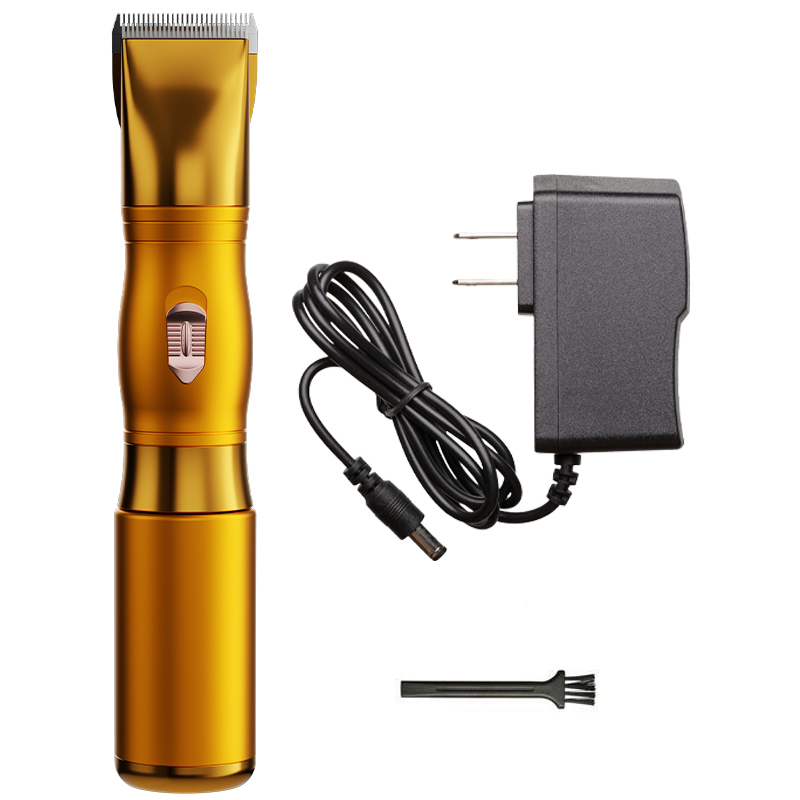 SK-C21-Gold color