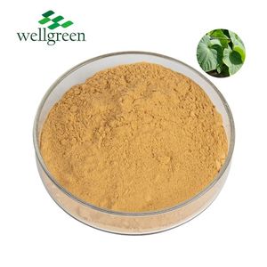 Preço a granel Natural Kava Extract 30% Kavalactone Kava Extract - Product Image 1
