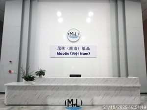 Boîtes en carton néon colorées pour filles ou boîtes de 20x15x10cm de haute qualité, couleur aqua mate, pour cadeau d'anniversaire - Product Image 2