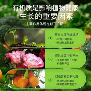 ปุ๋ยอินทรีย์เม็ดแปดโอลด์เมน 500 กรัม สำหรับพืชในร่มและดอกไม้ ใช้ในสวน - Product Image 2