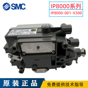 Positionneur de vanne SMC Japon série IP8001-030, vanne de commande pour des performances optimales, modèle IP8000-001-X300 - Product Image 3