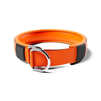 Collier de chien en nylon durable avec boucle en métal Collier rembourré confortable pour toutes les races Offre Spéciale accessoires pour animaux de compagnie