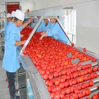 Ligne de production de sauce au piment à petite échelle 500 kg/h Machine de traitement de ketchup de pâte de tomate