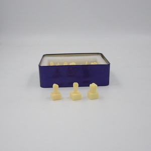 Modèle de référence de dent sculptée à l'échelle 1,2x avec base, équipement pédagogique - Product Image 6