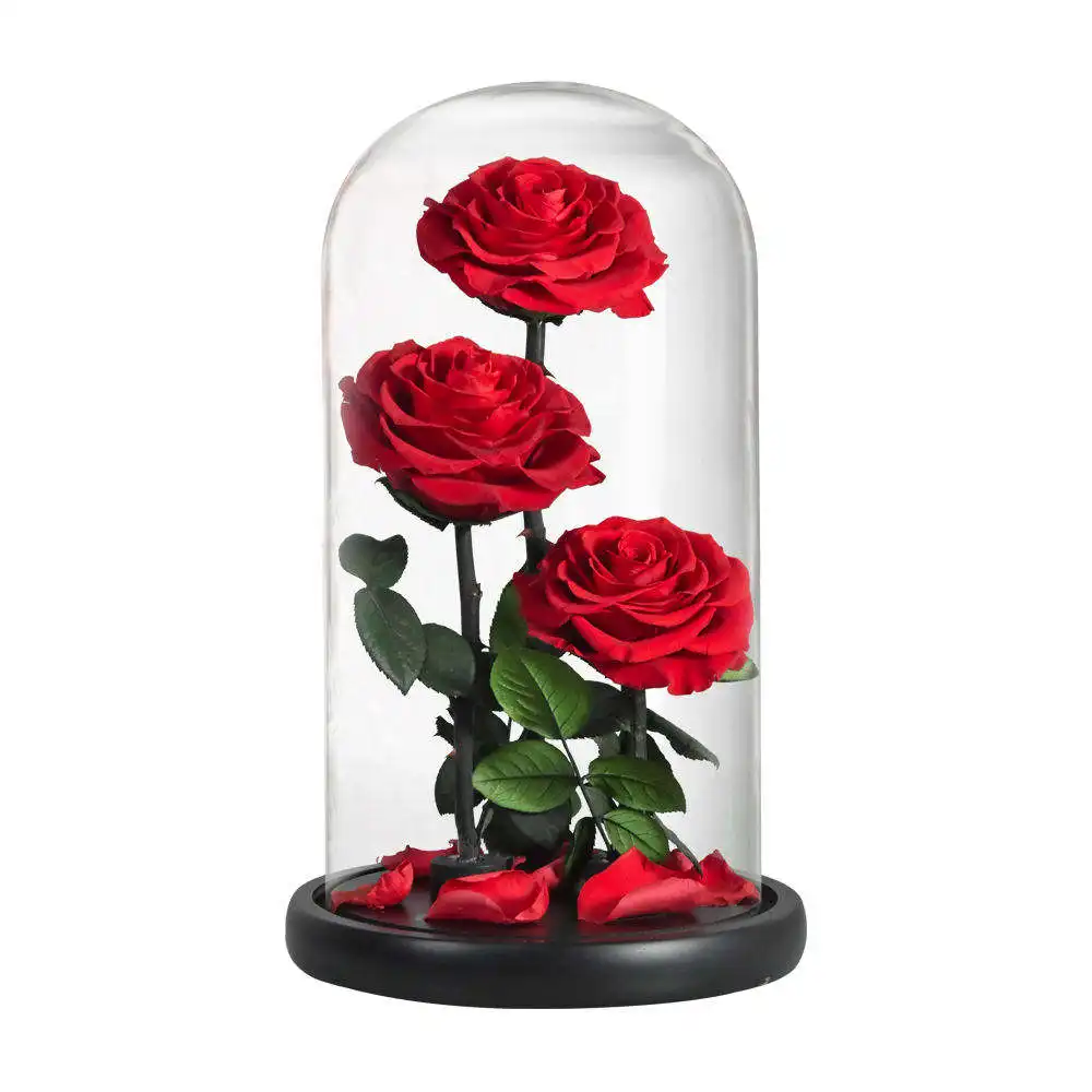 Hot Sale Luxury Led Light Everlasting Preserved Eternal Glass Dome Roses