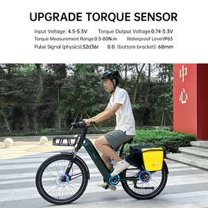 Vélo <span class=keywords><strong>Cargo</strong></span> avec Moteur Bafang, Vélo Électrique avec Freins Hydrauliques, avec Batterie Samsung, pour Livraison - Product Image 6
